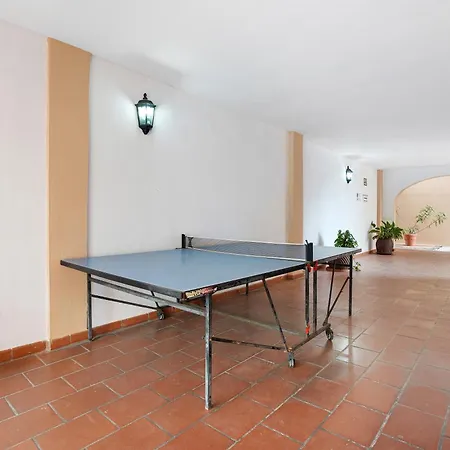 3 Palmeras Albatros San Miguel de Abona