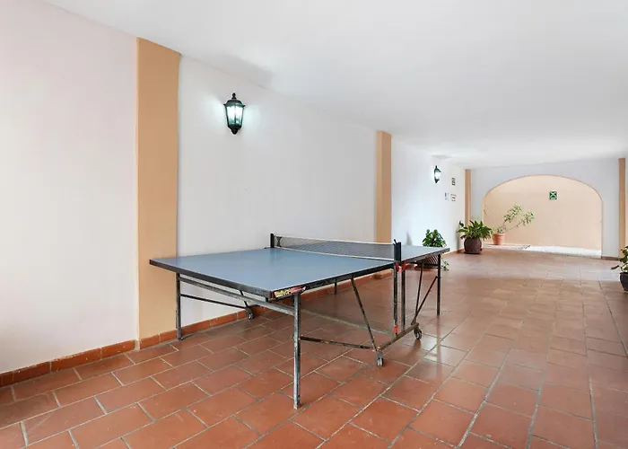 3 Palmeras Albatros San Miguel de Abona